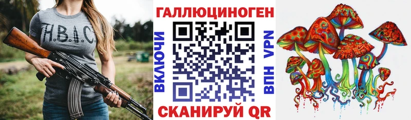 даркнет сайт  Гвардейск  Псилоцибиновые грибы Magic Shrooms 